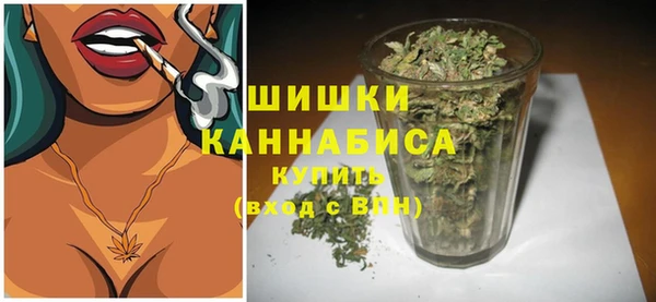 прущая мука Каменка