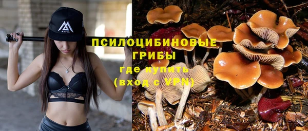 винт Каменск-Шахтинский