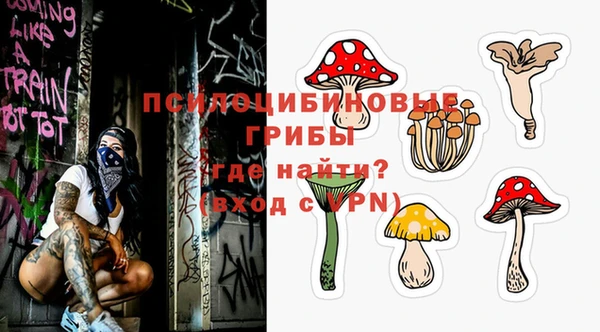 таблы Каменногорск