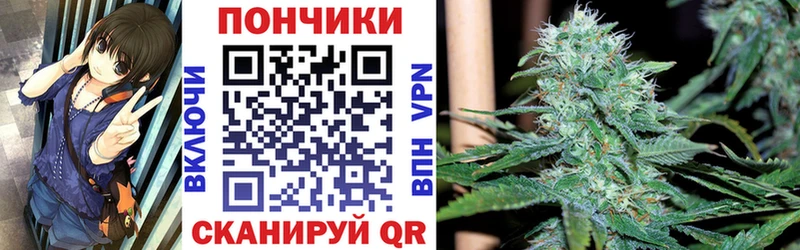 Конопля планчик  Купить где  Краснослободск 